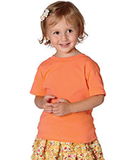 Short Sleeve