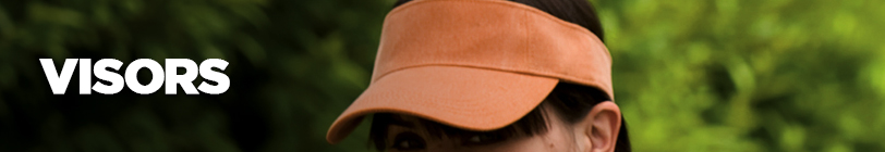 Visors